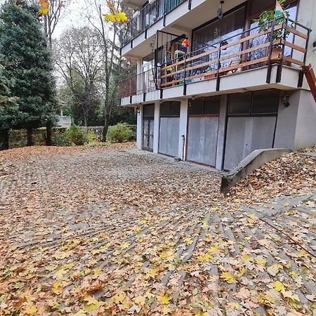 Anna-Lak Apartment บูดาเปสต์ ภายนอก รูปภาพ